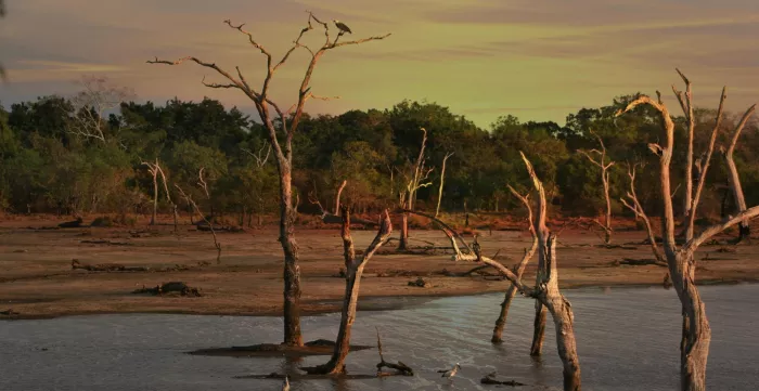 A landscape affected by a flood.