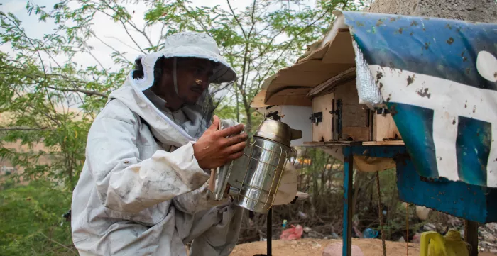 Abdullah, after receiving livelihood business training and financial grants to start his beekeeping business in Hajjah Governorate.