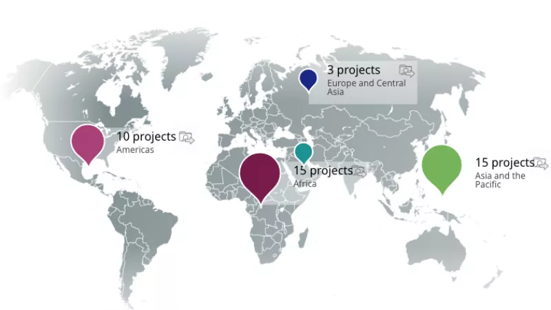 Dashboard on Labour migration projects in 2022